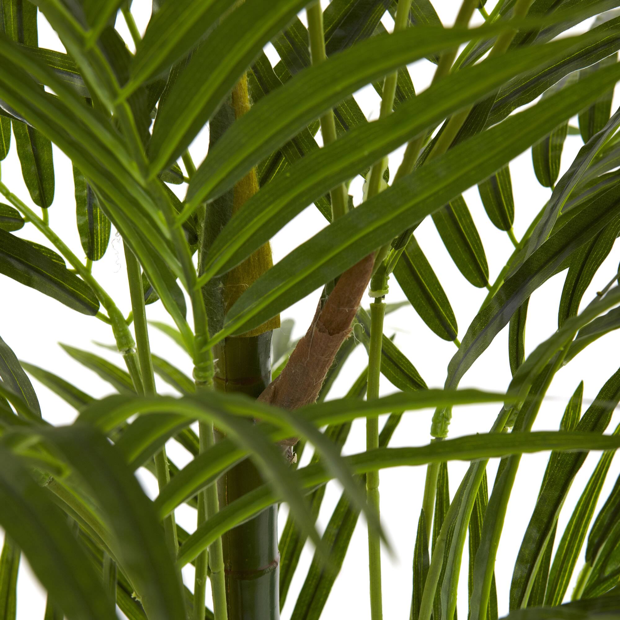 3.5ft. Potted Areca Palm